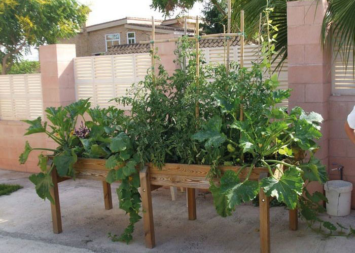 Huertos urbanos